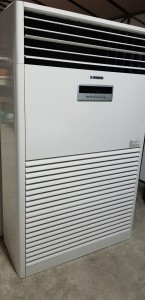 ��ǰ ������